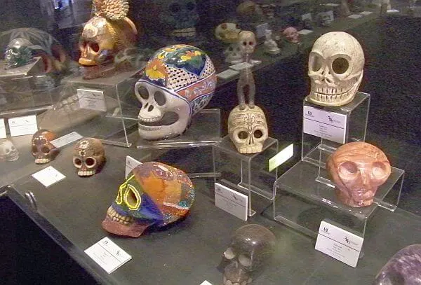 museum of death historic skulls