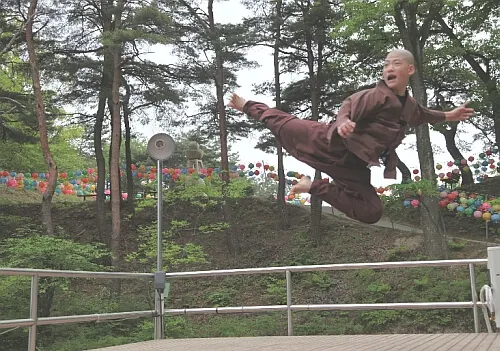 Korea fighting monk
