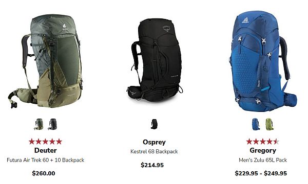 travelers backpacks