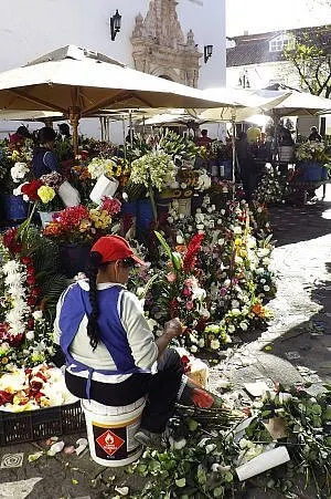Travel prices in Ecuador, including bargain flowers in the Cuenca market