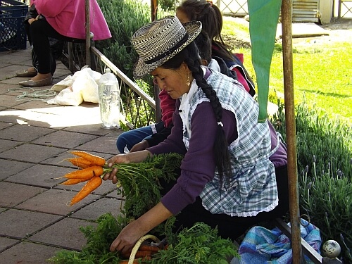 Andes vendor