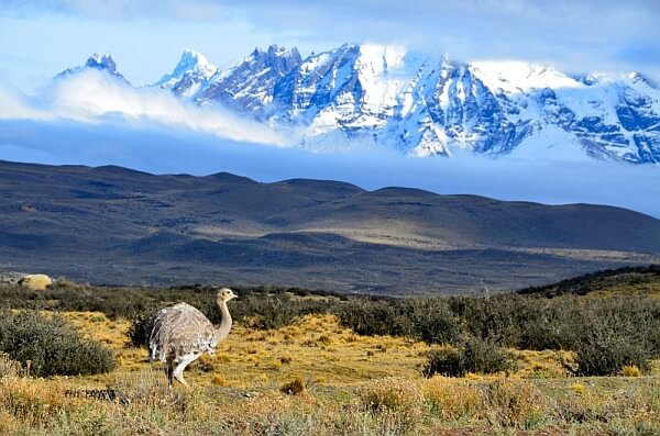 Patagonia travel