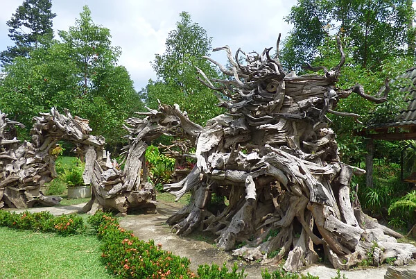 Trang Wang Thep Taro