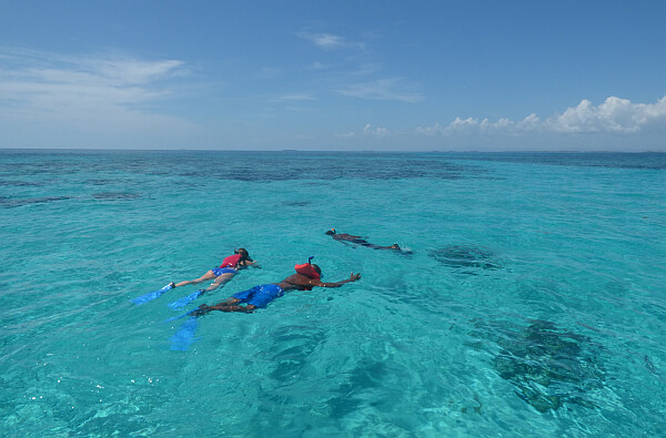 Belize snorkeling
