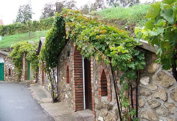 Czech cellars in one of the cheapest wine destinations in Europe