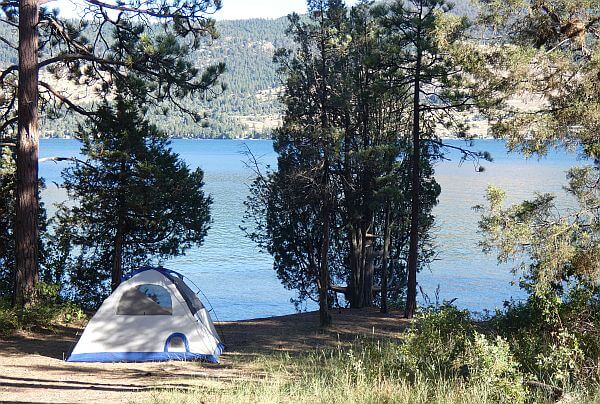 camping in the woods