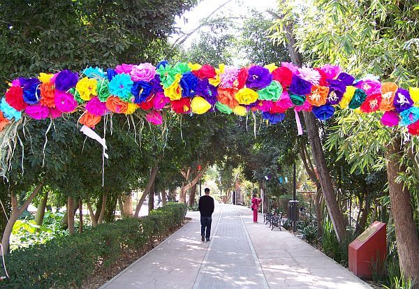 Parque Benito Juarez