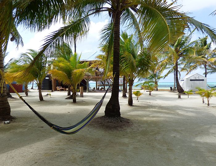 Island in Belize, where the currency is tied to the US dollar
