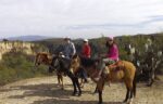 horseback riding san miguel de allende