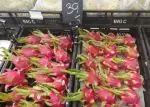 dragonfruit in grocery store