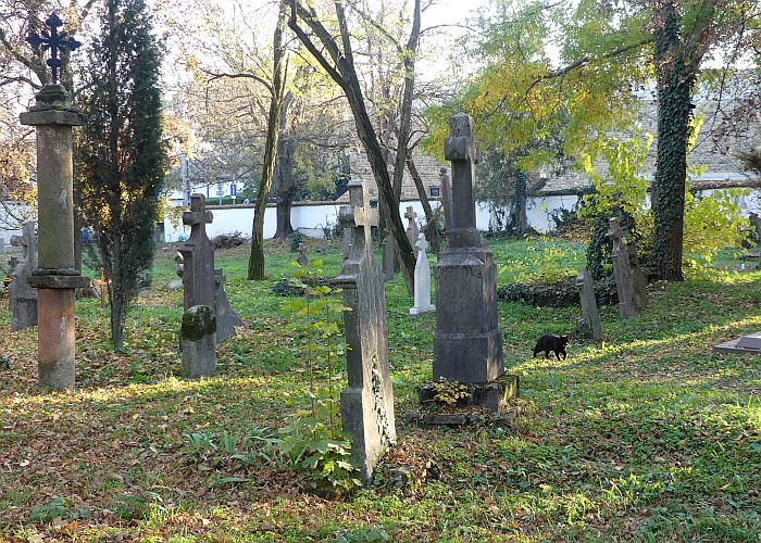 cemetery in Szentendre